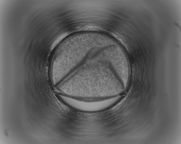 X0000097761066200804041120