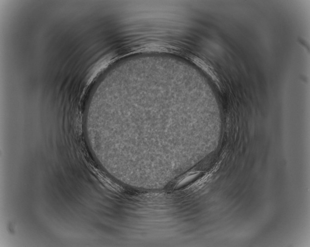 X0000097761067200804041120