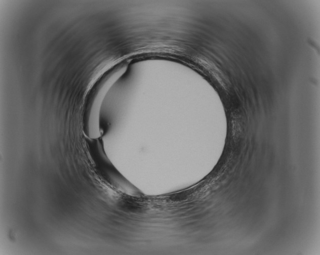 X0000097761069200804041120