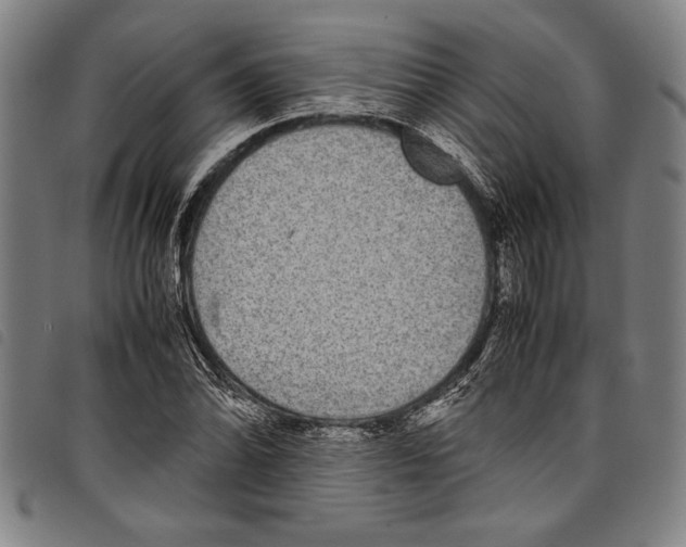 X0000097761070200804041120