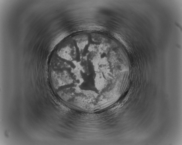 X0000097761071200804041120