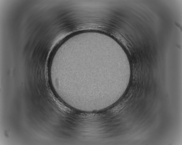 X0000097761072200804041120