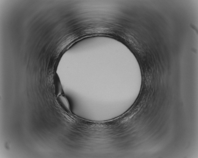 X0000097761073200804041120