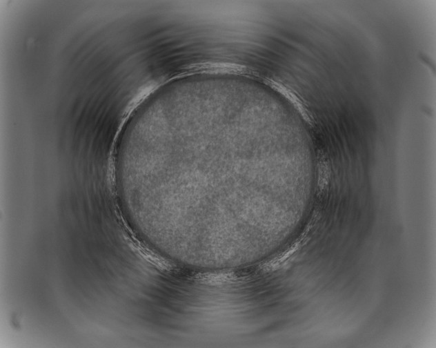 X0000097761074200804041120