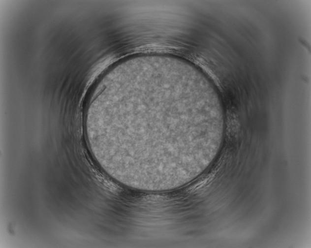 X0000097761075200804041120