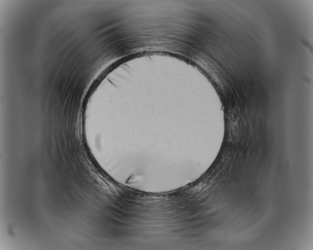 X0000097761076200804041120