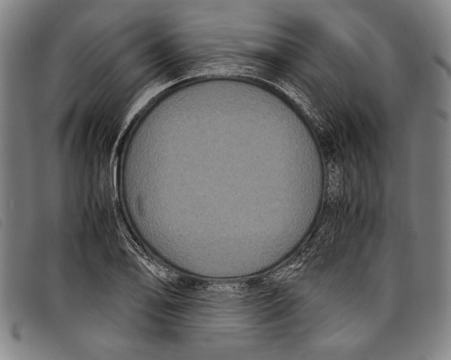 X0000097761078200804041120