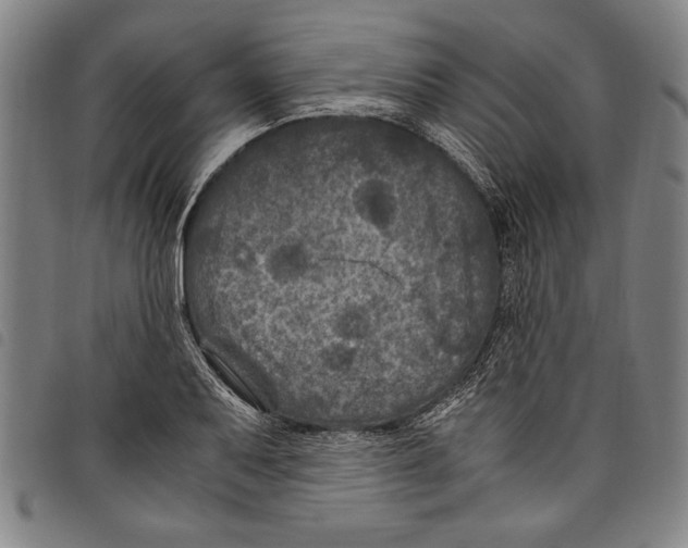 X0000097761079200804041120