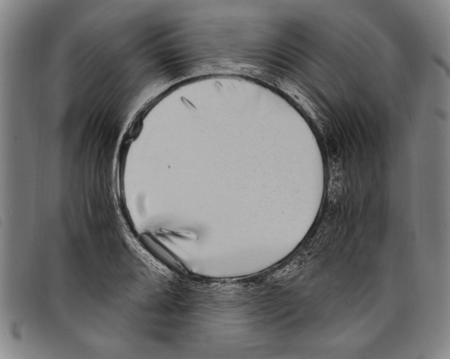 X0000097761080200804041120