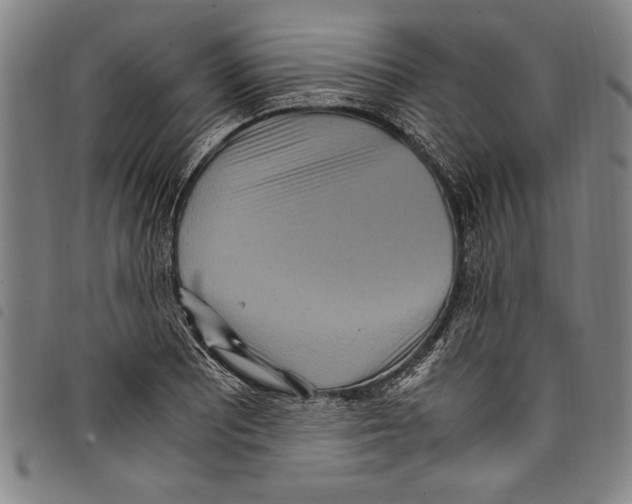 X0000097761081200804041120