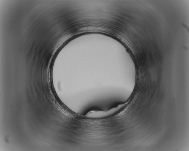 X0000097761082200804041120