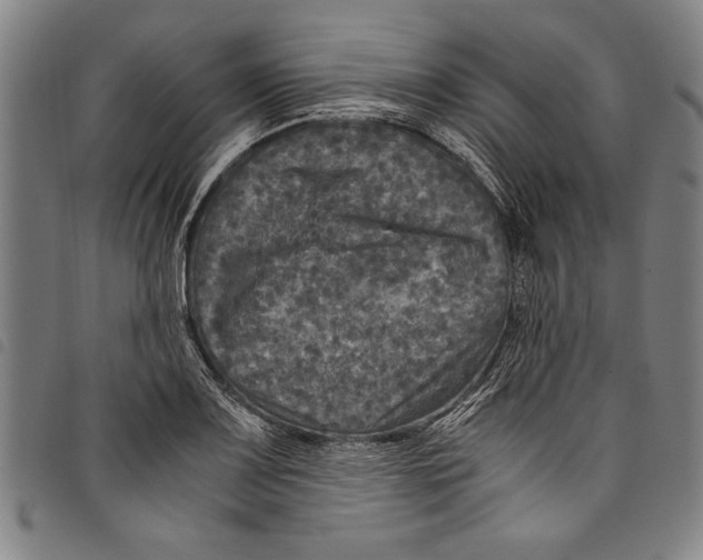 X0000097761083200804041120