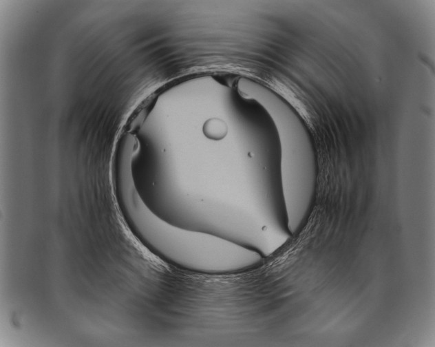 X0000097761084200804041120