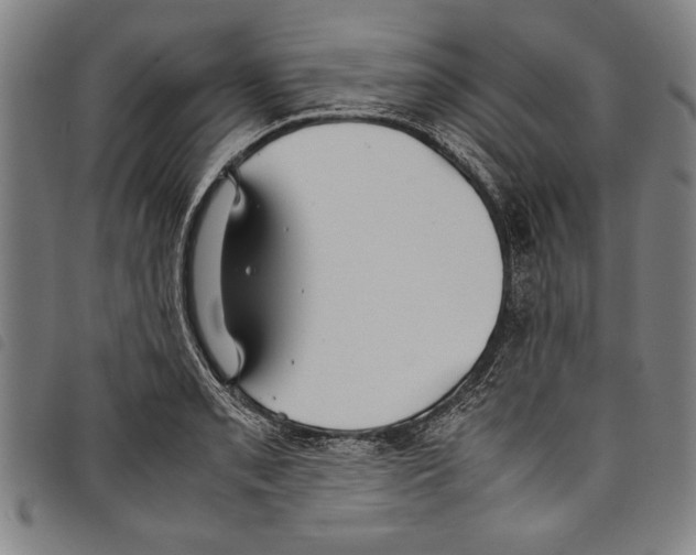 X0000097761085200804041120