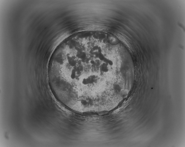 X0000097761087200804041120