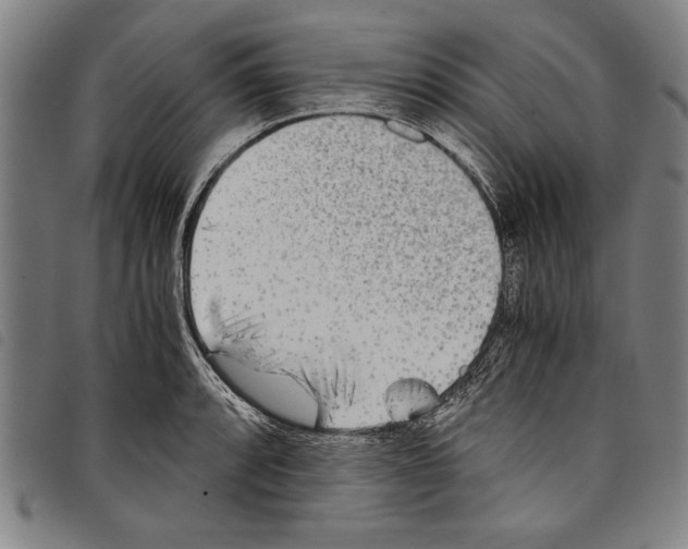 X0000097761088200804041120