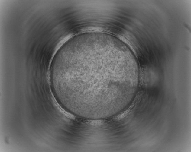 X0000097761090200804041120