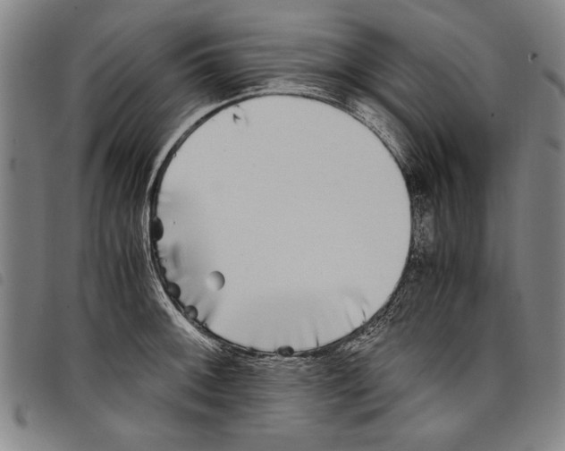 X0000097761092200804041120