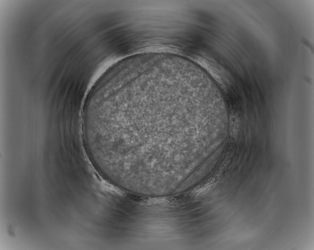 X0000097761094200804041120