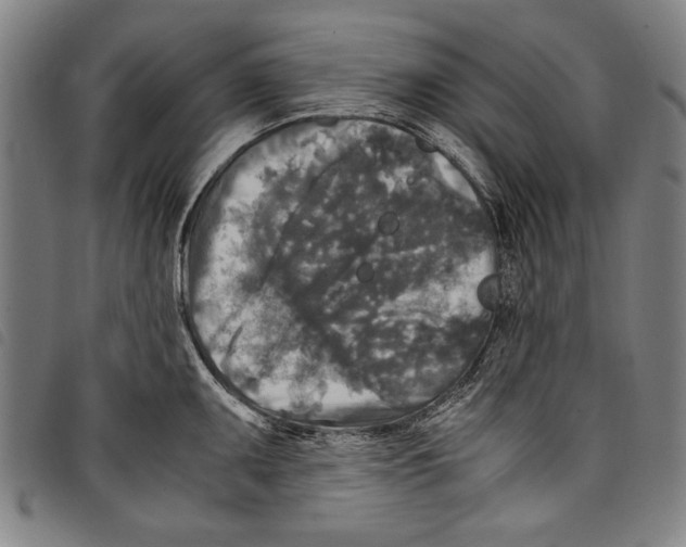 X0000097761095200804041120