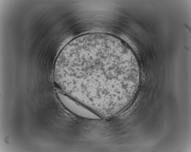 X0000097761097200804041120