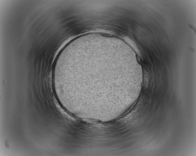 X0000097761100200804041120