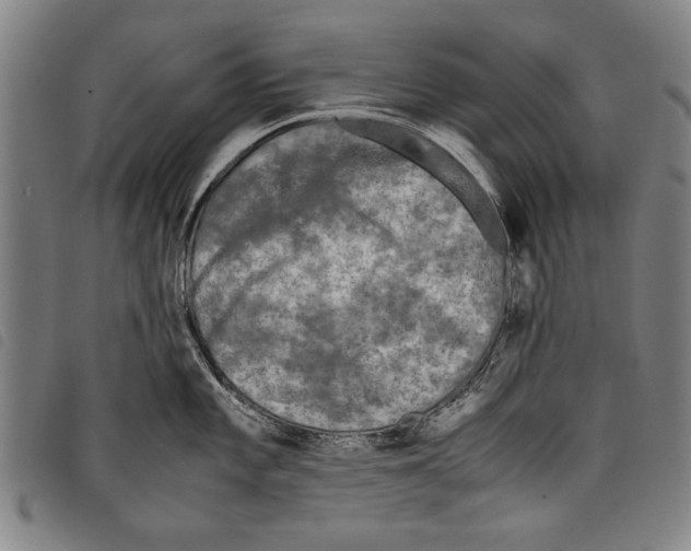 X0000097761101200804041120