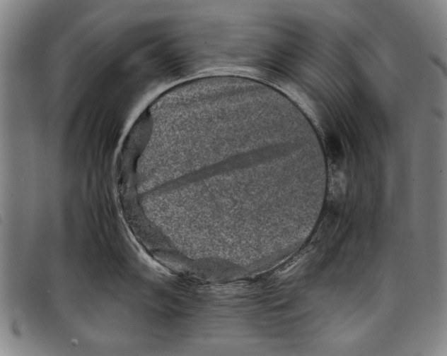 X0000097761102200804041120