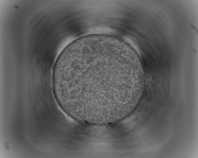 X0000097761103200804041120