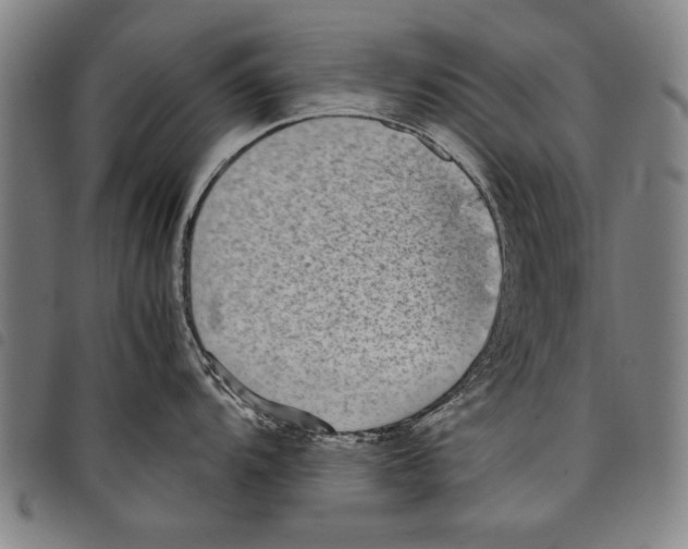 X0000097761104200804041120