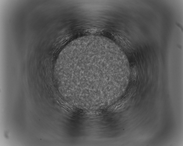 X0000097761105200804041119