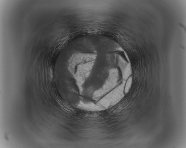 X0000097761106200804041119