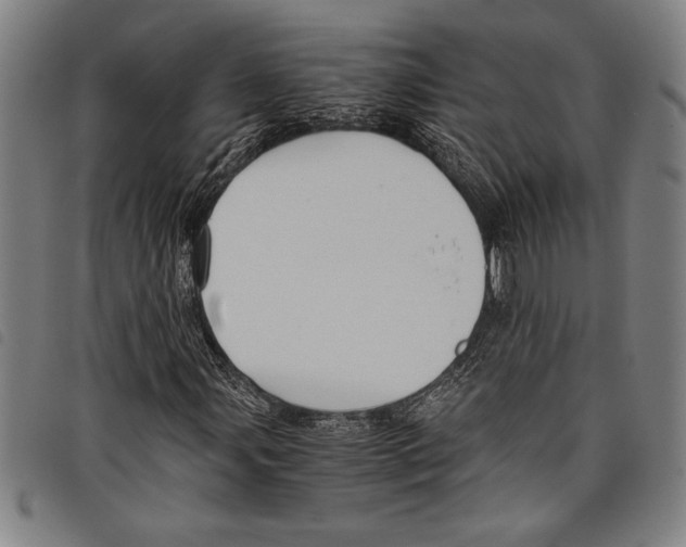 X0000097761107200804041119