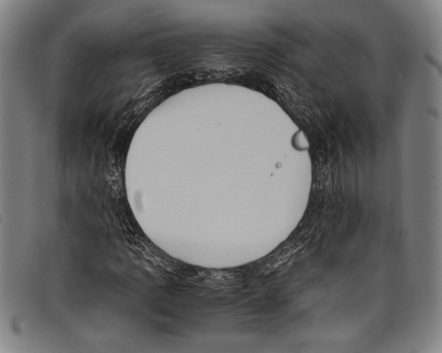 X0000097761109200804041119