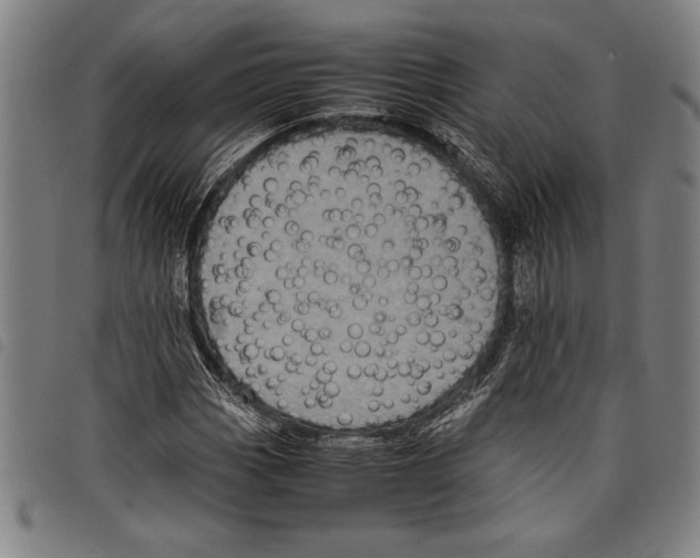 X0000097761113200804041119