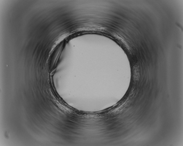 X0000097761114200804041119