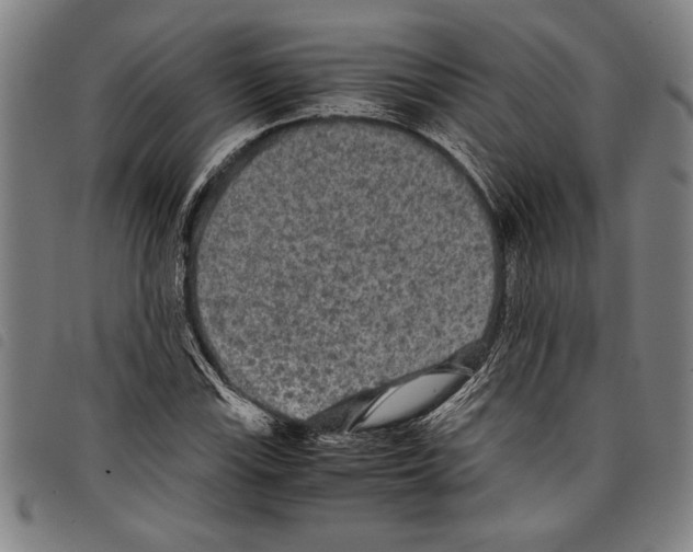 X0000097761115200804041119