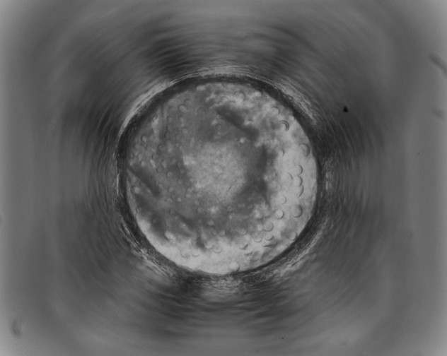 X0000097761117200804041119