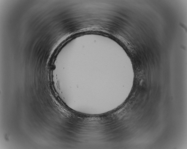 X0000097761118200804041119