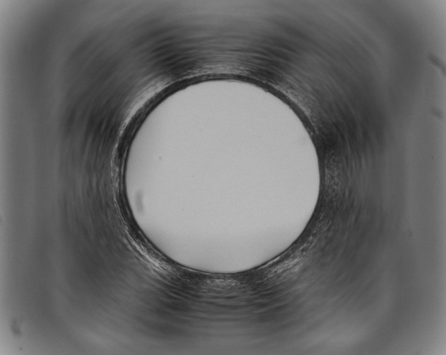 X0000097761119200804041119