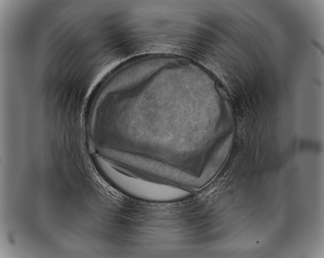 X0000097761120200804041119