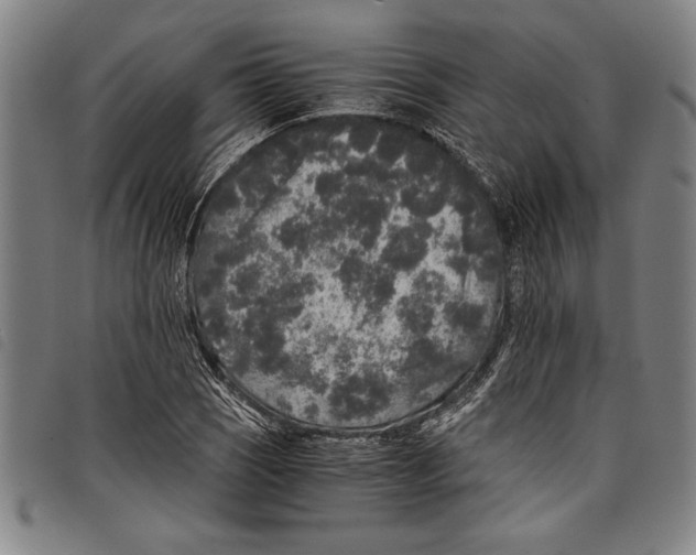 X0000097761121200804041119