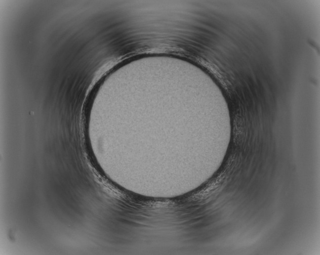 X0000097761122200804041119