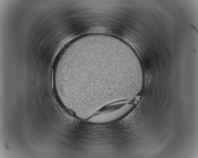 X0000097761123200804041119