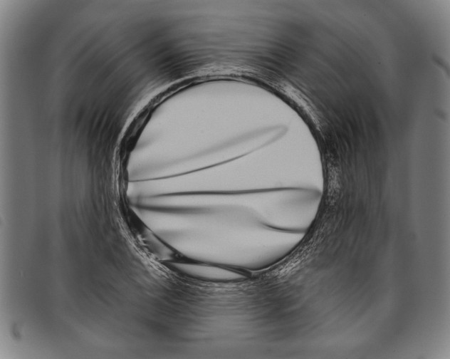 X0000097761124200804041119