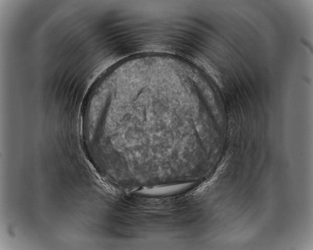 X0000097761125200804041119