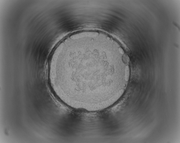 X0000097761126200804041119