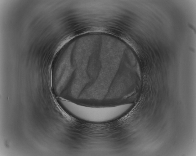 X0000097761127200804041119