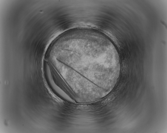 X0000097761128200804041119