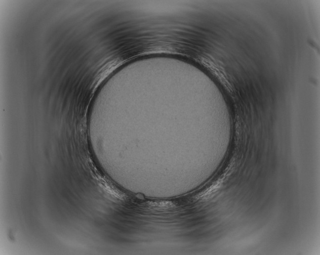 X0000097761129200804041119